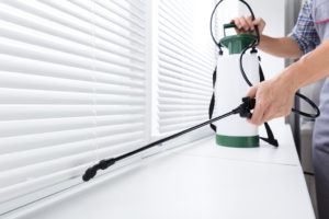 A person uses a household solvent for bug control inside their home.